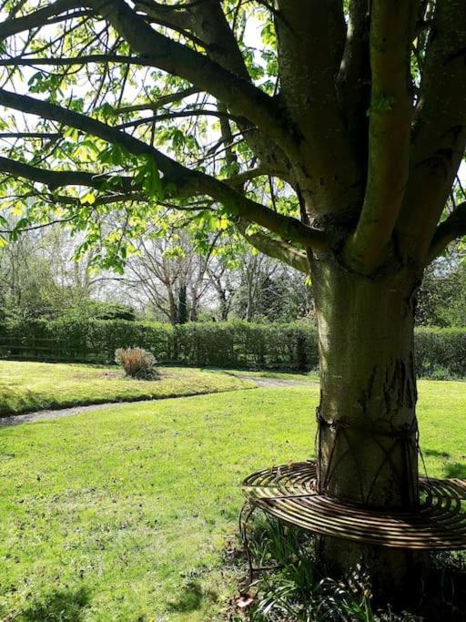 Host & Stay - Clara Cottage Bretforton Exterior foto